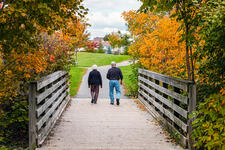 Elderly Couple Walking on a Path Across a Wooden Bridge in a Park
